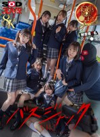 【ミニ系×】【VR】【8K】【VR】（超リアル体験）バスジャックVR ※被害者7名女子●生 スクールバスで、未成熟おマンコを好き勝手に犯しまくりSPECIAL｜13dsvr01701