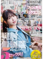 【マッサージ・リフレ×新川空】大阪→東京 東海道を縦断しファンの男性を訪ねてリクエストに全部応える発射無制限おもてなしツアー 5セックス！ 新川空｜1start00549