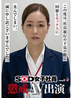 【カーセックス×福原成佳】SOD女子社員 懲戒AV出演 福原成佳｜1sdjs00372