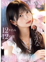 【スレンダー×さくらわかな】さくらわかな 2nd BEST 花見頃 12タイトル12時間｜idbd00996