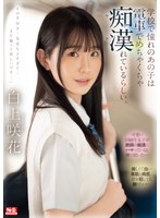 【淫乱・ハード系×白上咲花】学校で憧れのあの子は電車でめちゃくちゃ痴●（ヤラ）れているらしい。 白上咲花｜sone00373